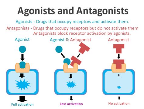 Sketching a Model to Show the Complexities of an Antagonist's Operations: A Multilayered Examination